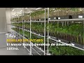 Semillas del Futuro: El Mayor Banco Genético de América Latina - TvAgro por Juan Gonzalo Angel