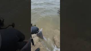 Lake tawakoni bank fishing #3