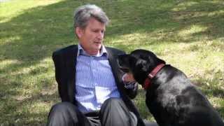 106 25 Best St Lane Cove McCarthy Estate Agents