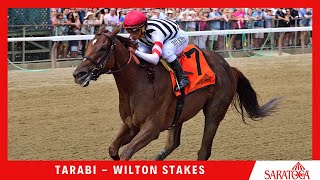 Tarabi - 2022 - The Wilton