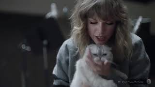 Taylor Swift had some real tough questions for Olivia the cat