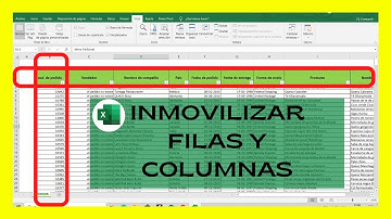 COMO INMOVILIZAR COLUMNAS Y FILAS  EN EXCEL AL MISMO TIEMPO