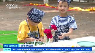 [经济信息联播]研学新观察 走进乡村 亲近自然 田间地头变身研学课堂| 财经风云