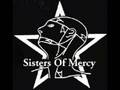 The Sisters of Mercy- "Flood II"