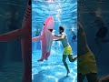 The shark fell into the pool 🦈😱