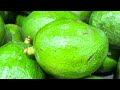 Qué cosas mami rica #marcoreyes #smartphone #viral #viralvideo #automobile #fe