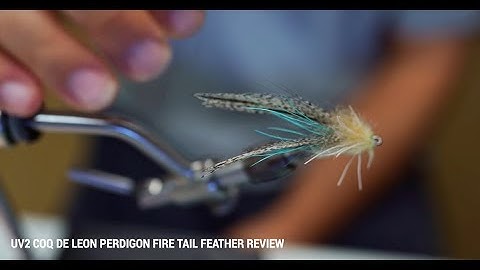 Fire Tail: Coq De Leon Perdigon Feathers Saltwater Applications