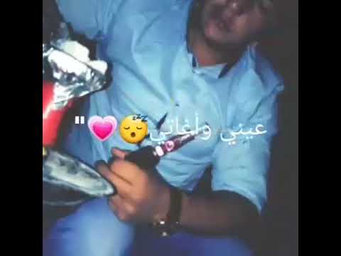 وين الي قال أفديك عمر وحياتي