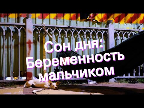 Сон дня: К чему снится Беременность мальчиком?