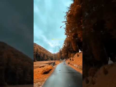 صرت جرح وماشي على الطرقات حالات واقع