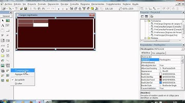Consulta en visual basic desde access 2010