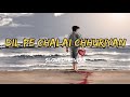 Dil Pe Chalai CHHURIYAN [Slowed+Reverb] Lo-Fi Song #lofisong