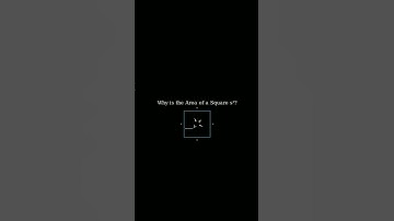 Why do we calculate the area of square ⬛ (S²)?