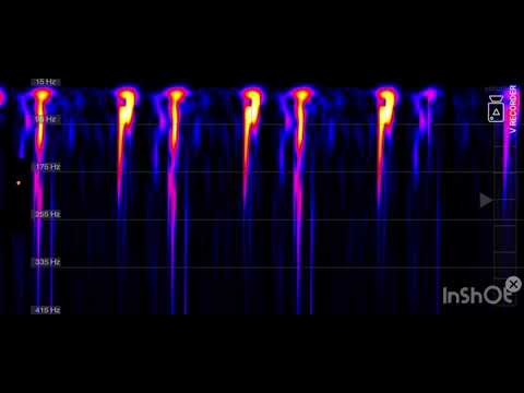Heart beat on a spectrogram 2