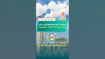 DGC LỢI NHUẬN TĂNG – CƠ HỘI ĐẦU TƯ HAY ĐÃ HẾT THỜI? | FIG Invest
