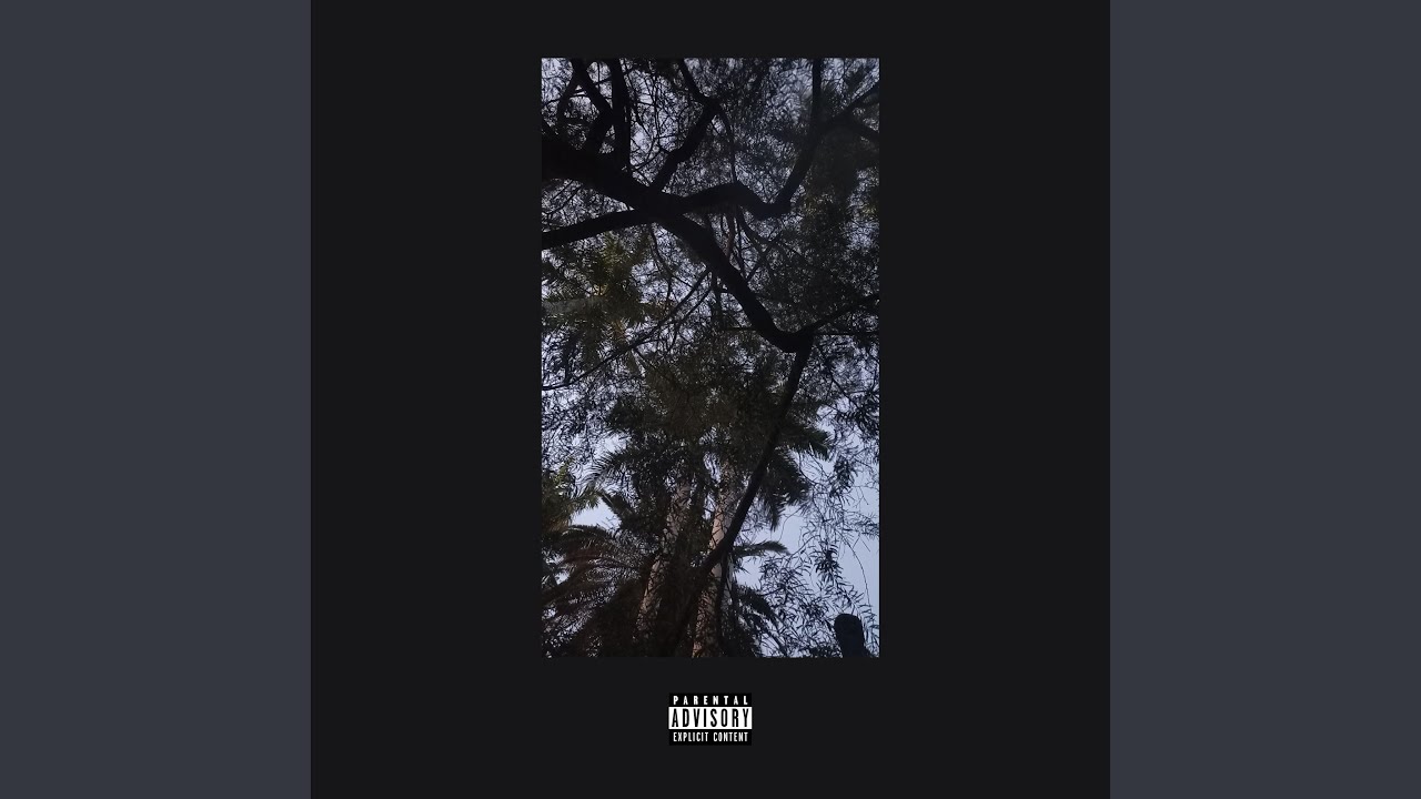 Magical Dance Electronic and Harmonic Disco Music