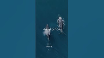 لا إله إلا أنت سبحانك إني كنت من الظالمين# سورة الانبياء#قرآن #اكسبلور #القران #تلاوة