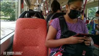 SBS Transit Volvo B9TL WEG2 SBS3921Z On Service 114