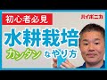 【初心者向け】水耕栽培のカンタンなやり方【ハイポニカ】