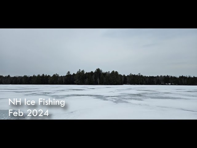 New Hampshire Ice Fishing 2024 Smallmouth Bass