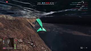 Whale watching Narvik BFV Beta