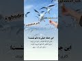با یک کار نیک جهان را تکان بده