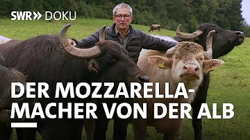 Sind Wasserbüffel in Deutschland heimisch?
