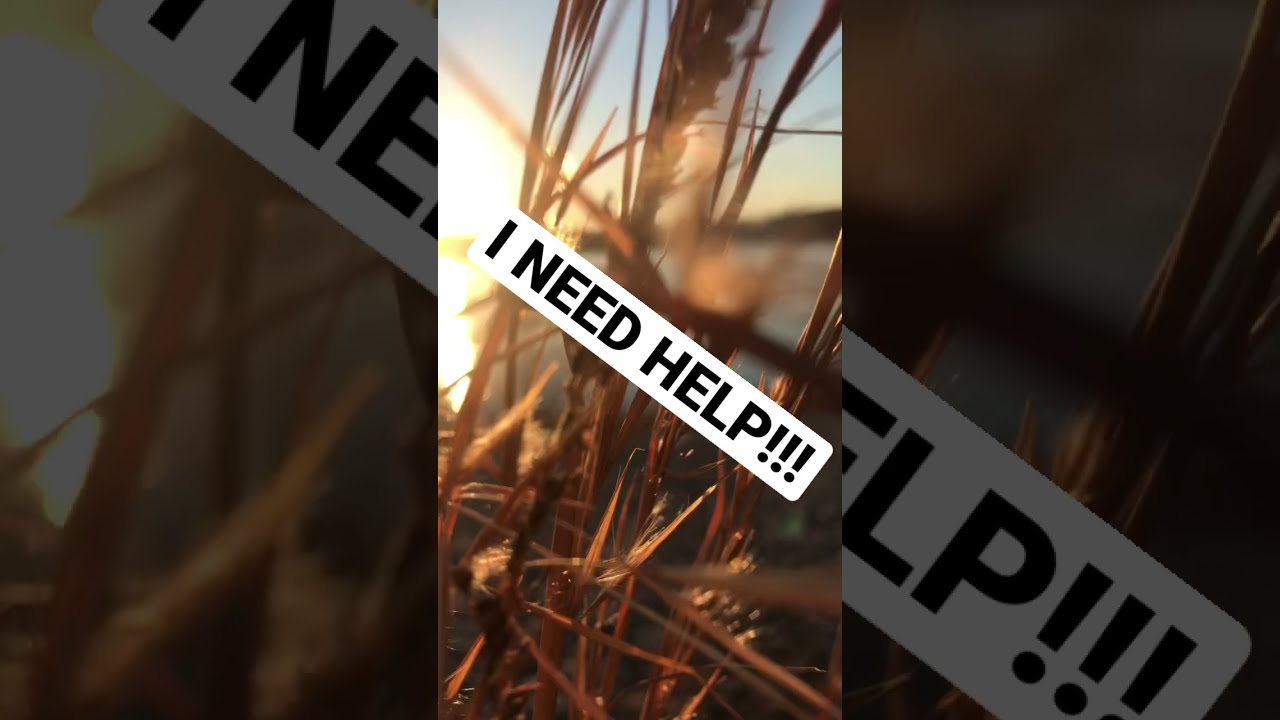  I NEED HELP Shorts Viral Fyp Help Subscribe Shortsvideo
