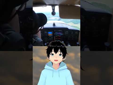 Cet Apprenti Pilote a Sauvé un Avion ! ?