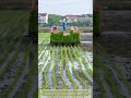 The Ultimate Rice Planting Machine in Action