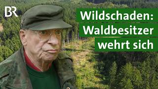 Jagdgesetz Vs. Realität Warum Wildschaden Kaum Gemeldet Wird Unser Land Br