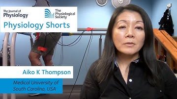 PHYSIOLOGY SHORTS: How can we enhance motor function recovery in people after spinal cord injury?