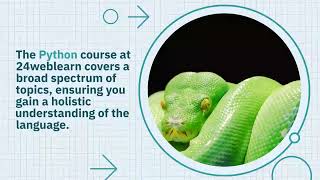 Famous Mastering Python: Unlock Your Potential with 24weblearn's Python Course Wealth
