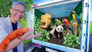 I TURNED A BOX TRUCK INTO A ZOO!!
