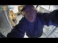 Tiger Cam 2 #TopZooKTWU
