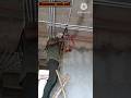hotel mein DND wiring #DND wiring kaise karen #DND wiring karne ka Tarika #viral video #shortvideo