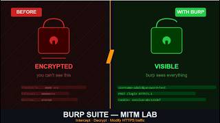 How to Intercept HTTPS Traffic with Burp Suite (MITM Attack Explained)