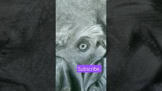 Realistic Rooster charcoal shading drawing tutorial light and shadow #foryou #short #stepbystep #art