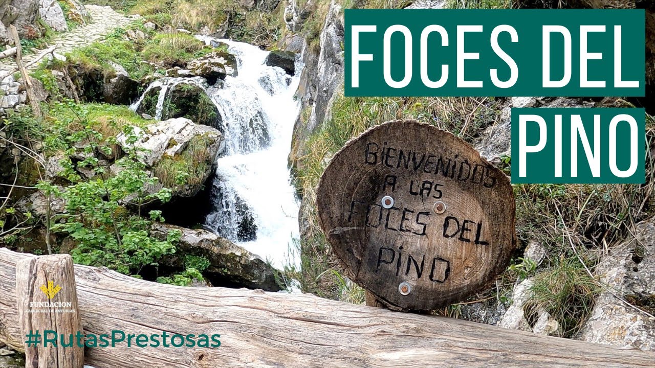 Canal Prestosu | Rutas prestosas: Las Foces del Pino, Aller (circular)