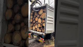 #holztransport #lkw #chinaexport #wood #woodcontainer #loading