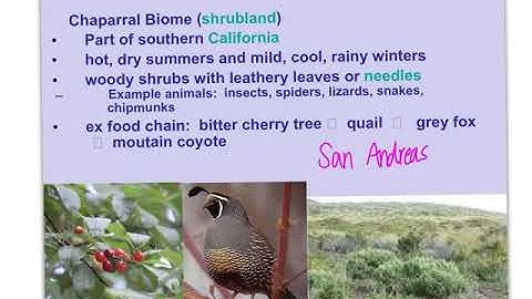 Unit 9: ecology notes video 4