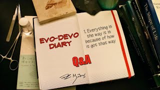 Evo Devo Q&A