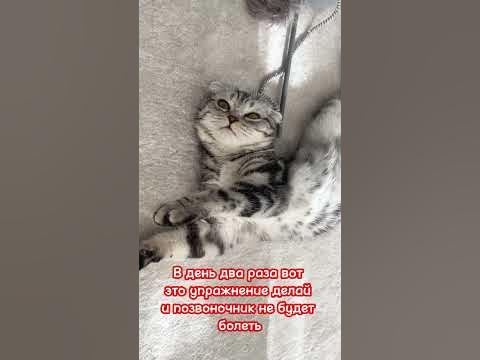 Не благодарите - YouTube