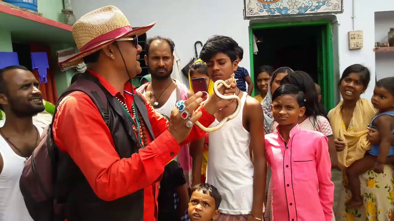 After Krait Venomous Snake Bit What Happens Snake Rescue Team Panchet