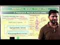 Peripheral nervous system (PNS) class11th neet