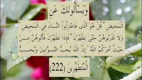 القران الكريم سورة البقرة الاية  222