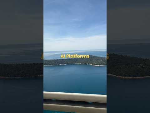 AI Platforms: what