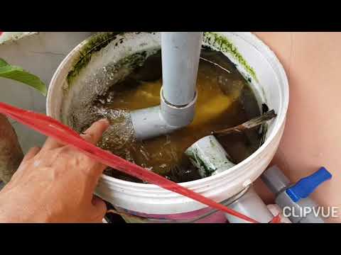 Video Hệ thống lọc hồ cá koi mini thùng xốp ghép - youtube
