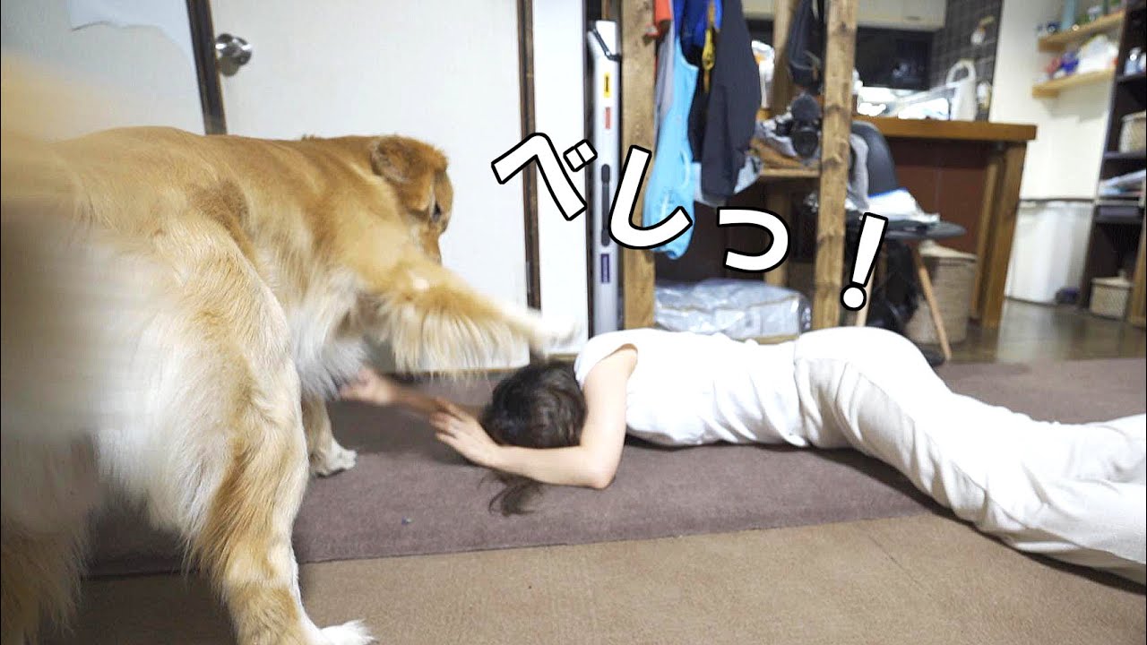 暇を持て余した妻が死んだふりをしていた Youtube