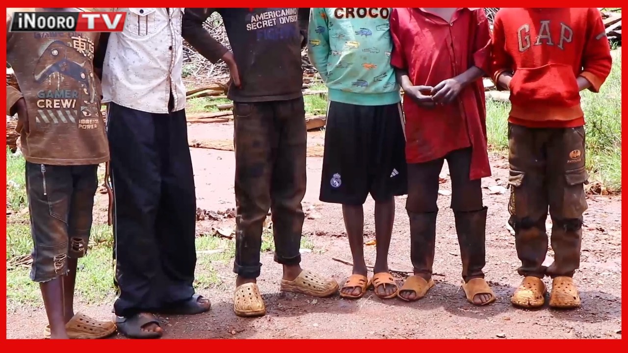 Ciana ciũrũraga Maragua gũtarĩria ũrĩa ciaingatirwo cukuru nĩũndũ wa mbeca cia igeranio